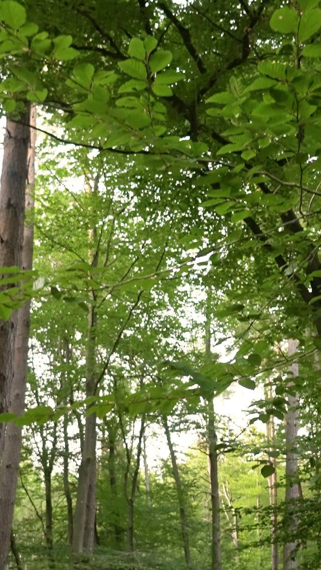 repelente de insectos para actividades al aire libre