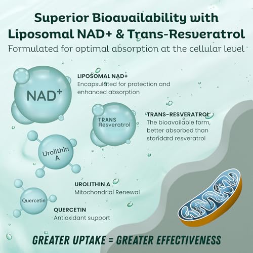 resveratrol para antioxidantes naturales