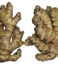 rizomas de jengibre comestible para cultivar
