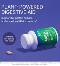 salud intestinal con extracto de jengibre