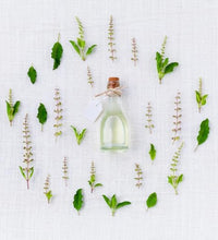 salvia para infusiones saludables