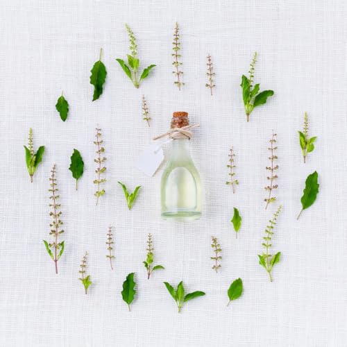 salvia para infusiones saludables