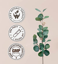 sarsaparilla orgánica alta potencia beneficios