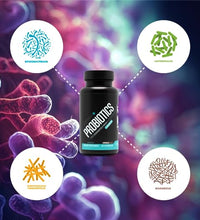 Sculpt Nation probioticos para intestinos sanos
