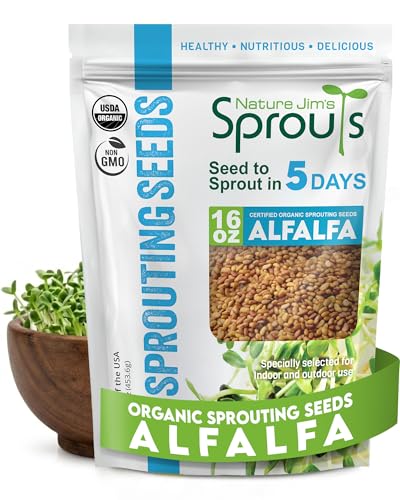 semillas de alfalfa orgánicas para cultivar