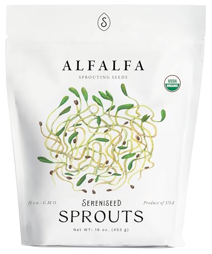 semillas de alfalfa orgánicas para germinación