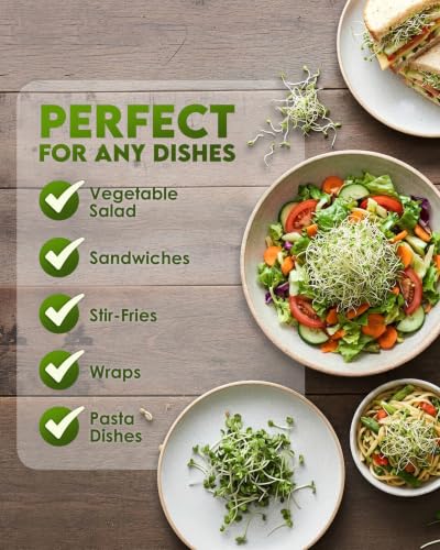 semillas de alfalfa para un jardín saludable