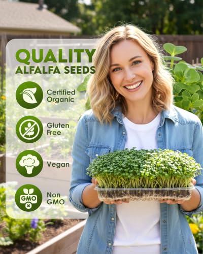 semillas de alfalfa ricas en nutrientes