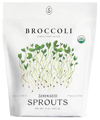 semillas de brócoli orgánicas para germinación
