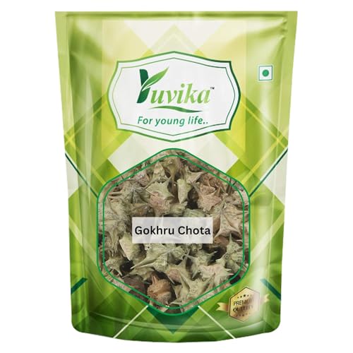 semillas de gokhroo chota naturales