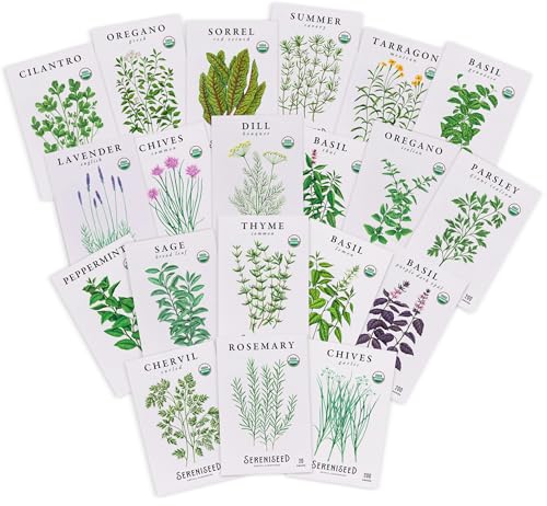 semillas de hierbas orgánicas para tu jardín