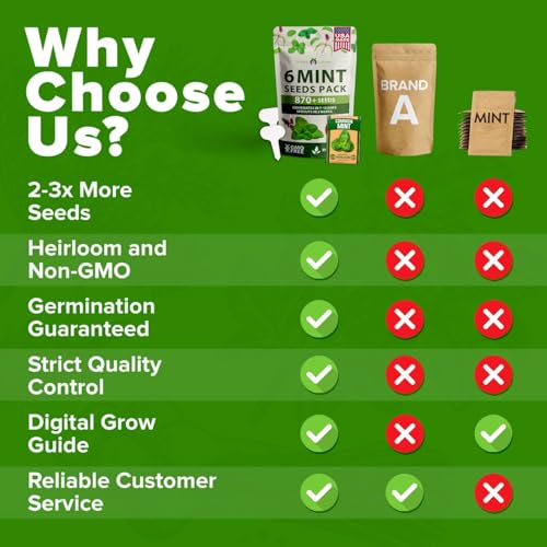 semillas de menta de alta calidad