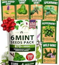 semillas de menta para cultivar