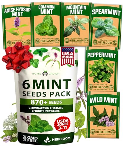 semillas de menta para cultivar