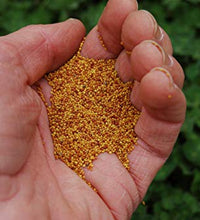 Semillas no-GMO para tu jardín