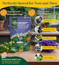 semillas para jardinería interior y exterior