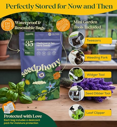 semillas para jardinería interior y exterior