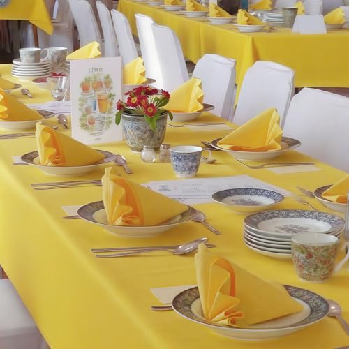 servilletas de 17x17 pulgadas para comedor
