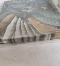 servilletas de papel de 20 piezas prácticas