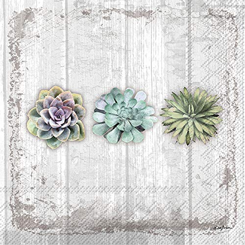 servilletas de papel para cócteles elegantes