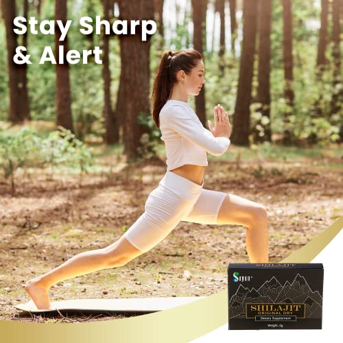 shilajit refinado de alta calidad
