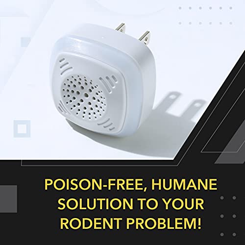 Solución ecológica para eliminar roedores