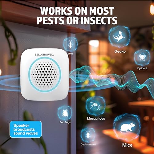 solución ecológica para insectos interiores