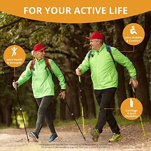 Soporte articular natural con Joint Xtra