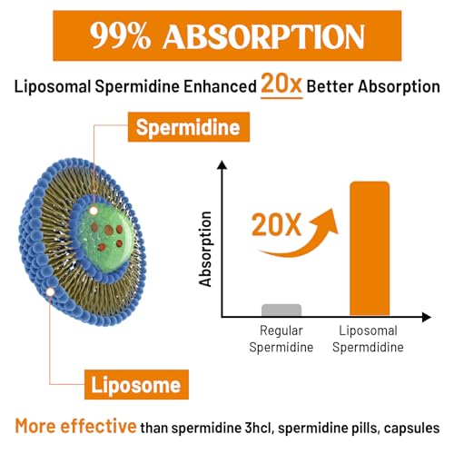 Spermidina para mejorar la cognición