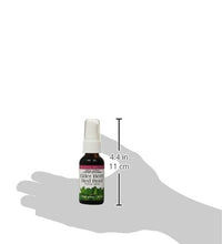 spray de raíz de saúco ecléctico sabor natural y delicioso