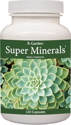 super minerales para salud óptima