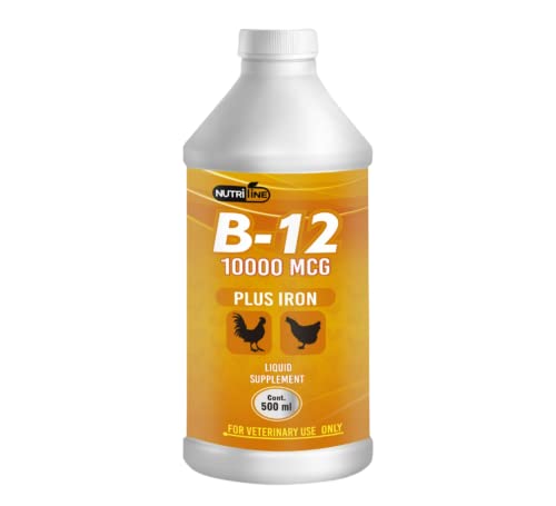 suplemento B-12 para aves