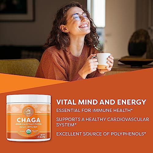 Suplemento de Chaga para energía natural