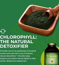 Suplemento de chlorella para veganos