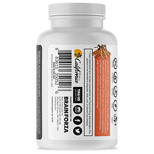 suplemento de cordyceps para energía natural