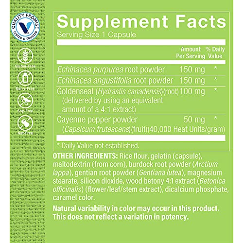 Suplemento de Echinacea para bienestar estacional