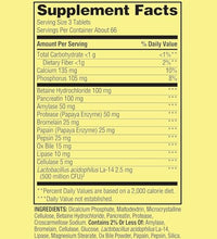 suplemento de enzimas para salud intestinal