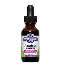 suplemento de ginseng americano orgánico