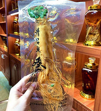 suplemento de ginseng para energía