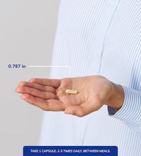 suplemento de ginseng para energía