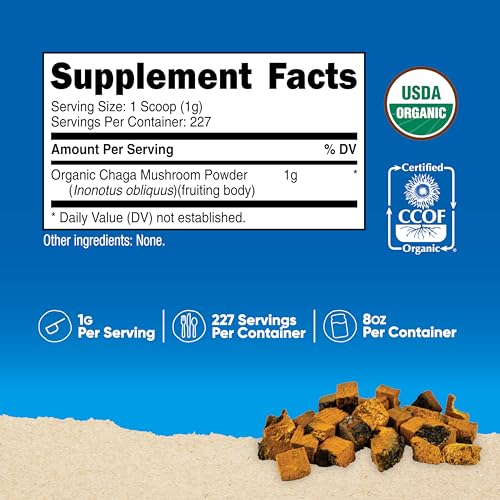 Suplemento de hongo chaga natural