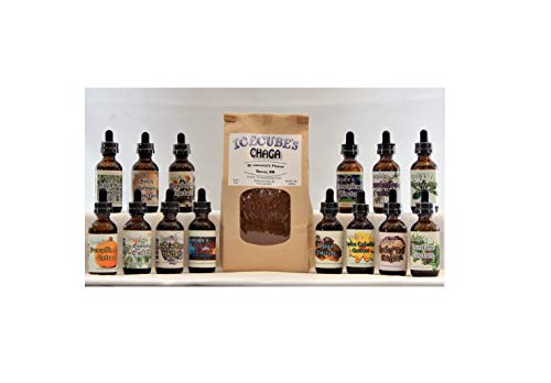 Suplemento de hongos Chaga saludable