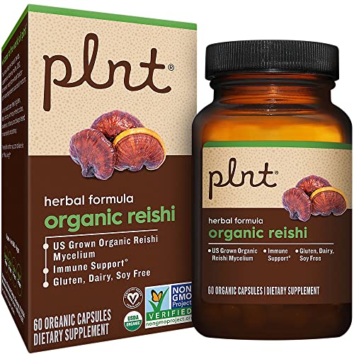 suplemento de hongos reishi orgánico