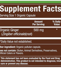 suplemento de jengibre natural 500 mg