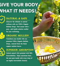Suplemento de Mullein para apoyo respiratorio