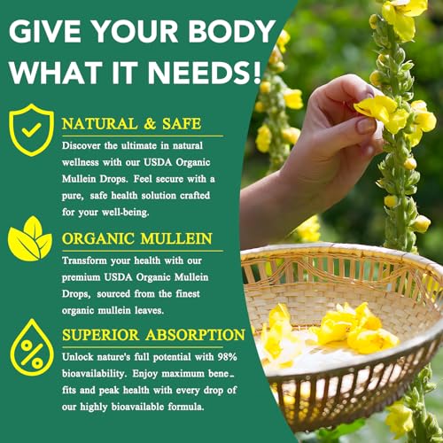 Suplemento de Mullein para apoyo respiratorio