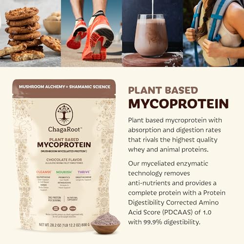 suplemento de proteína vegetal saludable