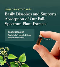 suplemento de rhodiola para vitalidad