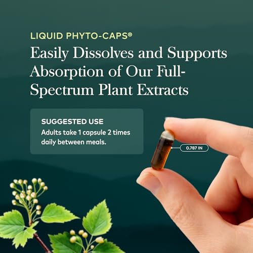 suplemento de rhodiola para vitalidad