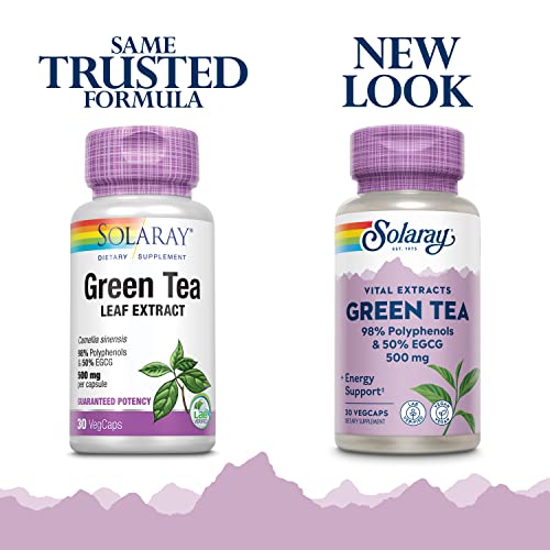 suplemento de té verde para energía